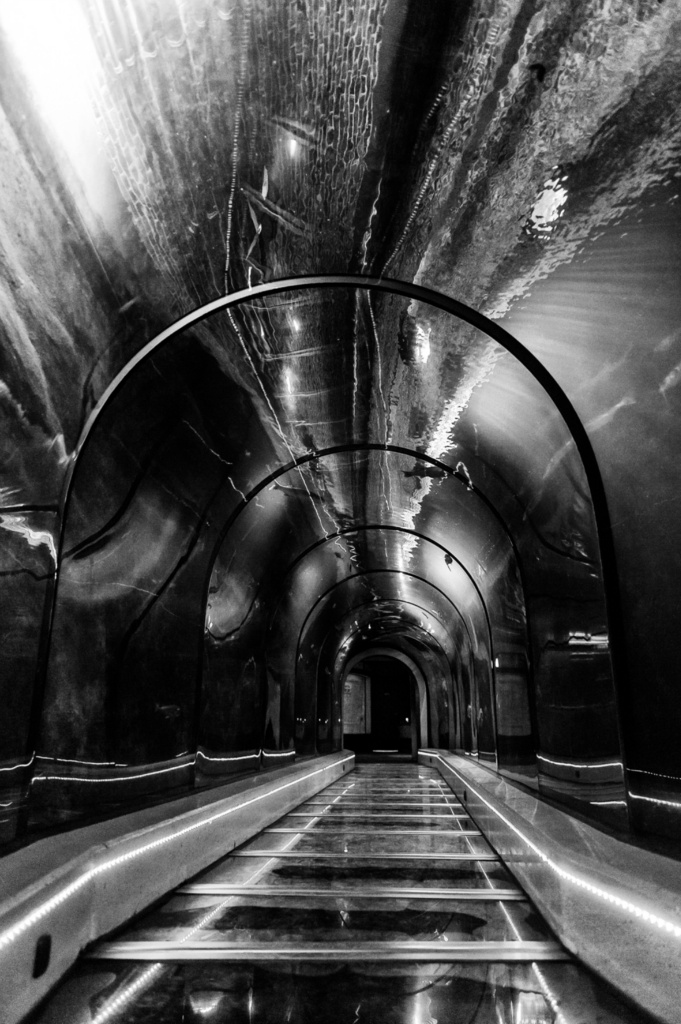 Vistunnel zw